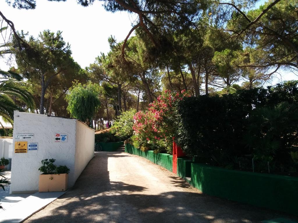 Campeggio La Mariposa Alguer Exterior foto