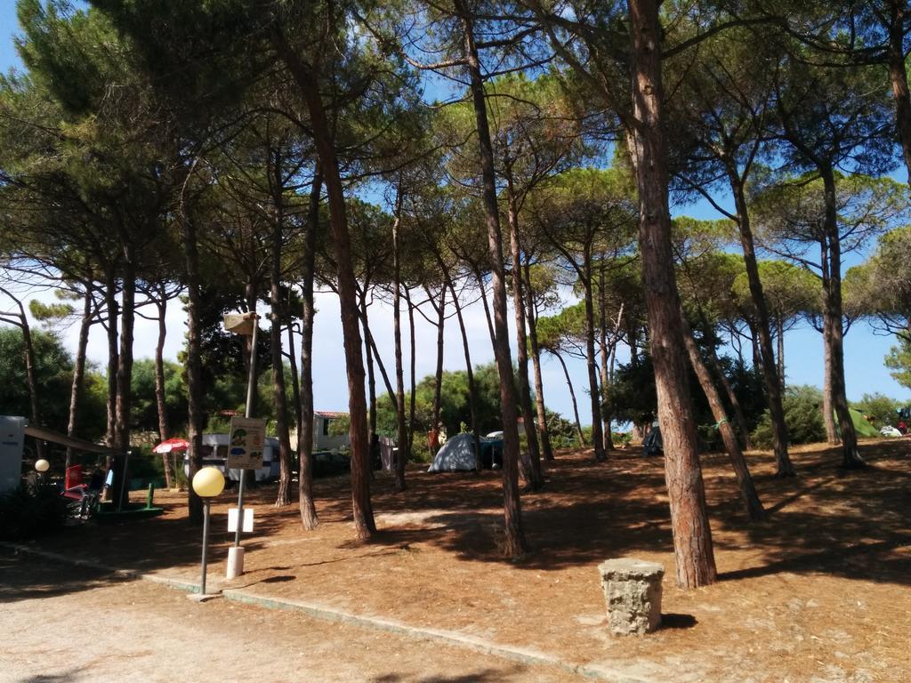 Campeggio La Mariposa Alguer Exterior foto